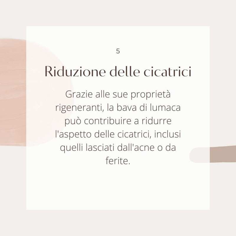 benefici della bava di lumaca  riduzioni delle cicatrici