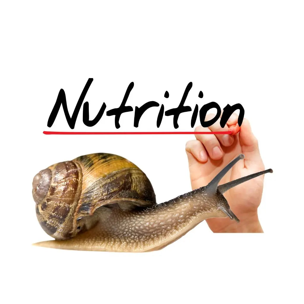 Valori nutrizionali delle chiocciole helix aspersa - blog - la lumaca bianca