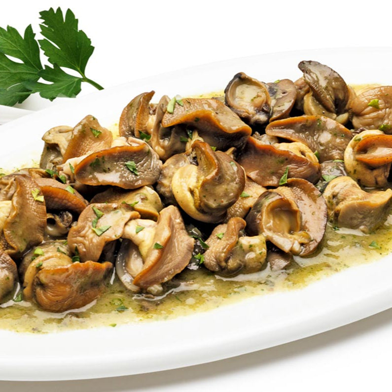 Lumache cotte nel piatto - La Lumaca Bianca