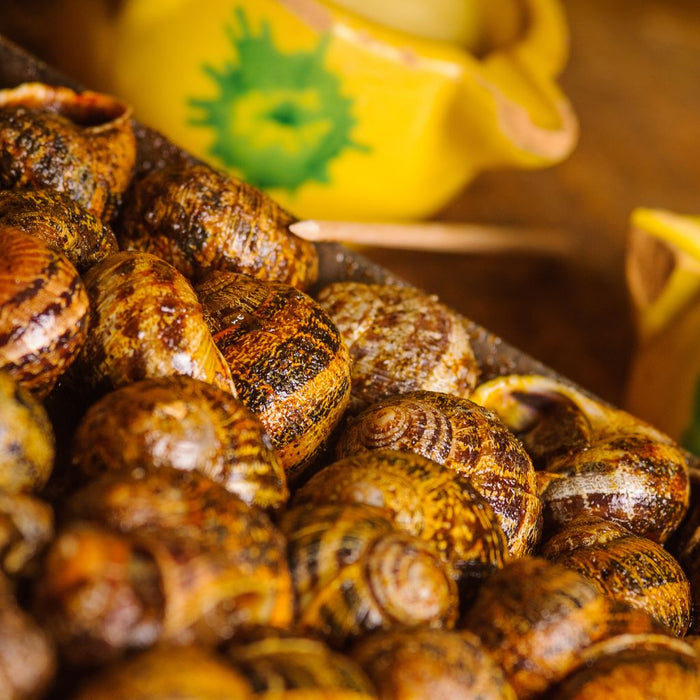 Le Migliori Lumache di Terra da Mangiare - Gusto Autentico e Qualità Superiore. risparmia 15 euro se compri 3kg di lumache