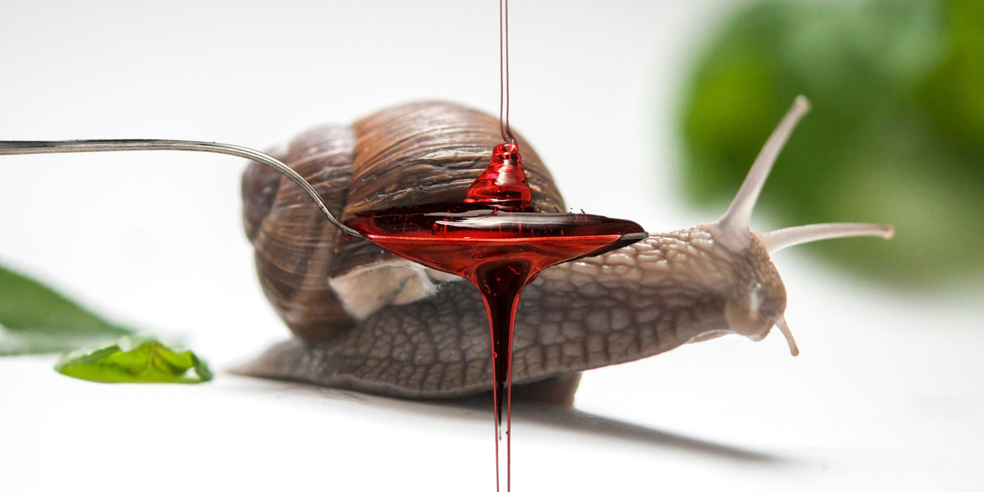 Sciroppi artigianali naturali bottiglie produzione La Lumaca Bianca Ghedi
