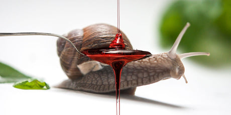 Sciroppi artigianali naturali bottiglie produzione La Lumaca Bianca Ghedi
